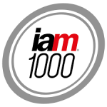 https://www.iam-media.com/directories/patent1000/rankings/brazil