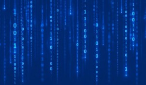 Software License Compliance