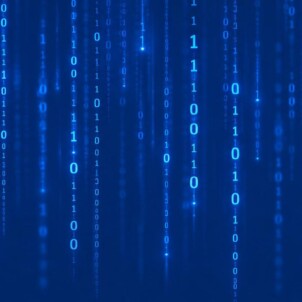Software License Compliance