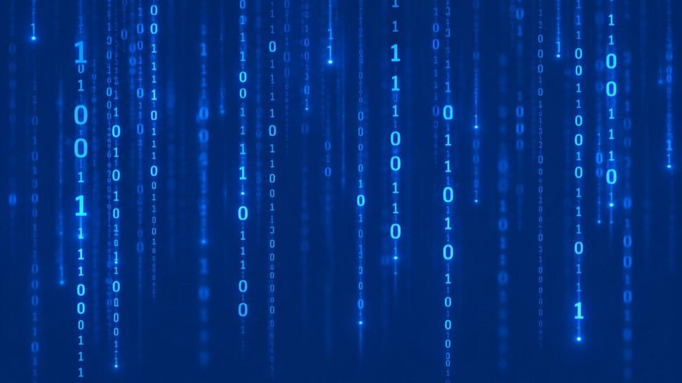 Software License Compliance